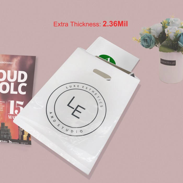 Customized shopping bags with logo reviewed by 1000+ users #107